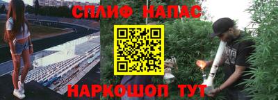 мдпв Ливны