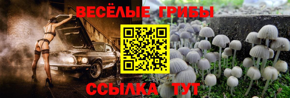 Псилоцибиновые грибы мухоморы Звенигород