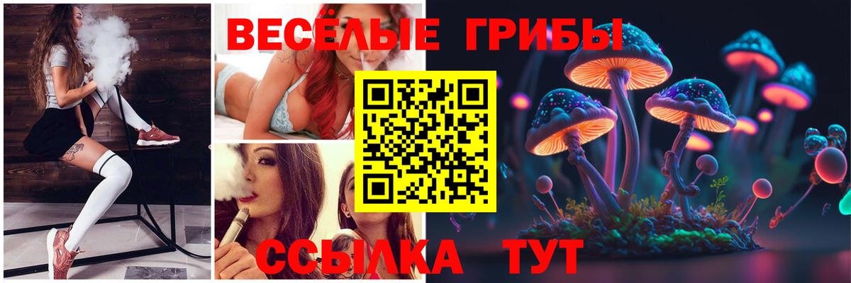 Звенигород  Псилоцибиновые грибы MAGIC MUSHROOMS  Псилоцибиновые грибы Psilocybe  Вход с VPN 
